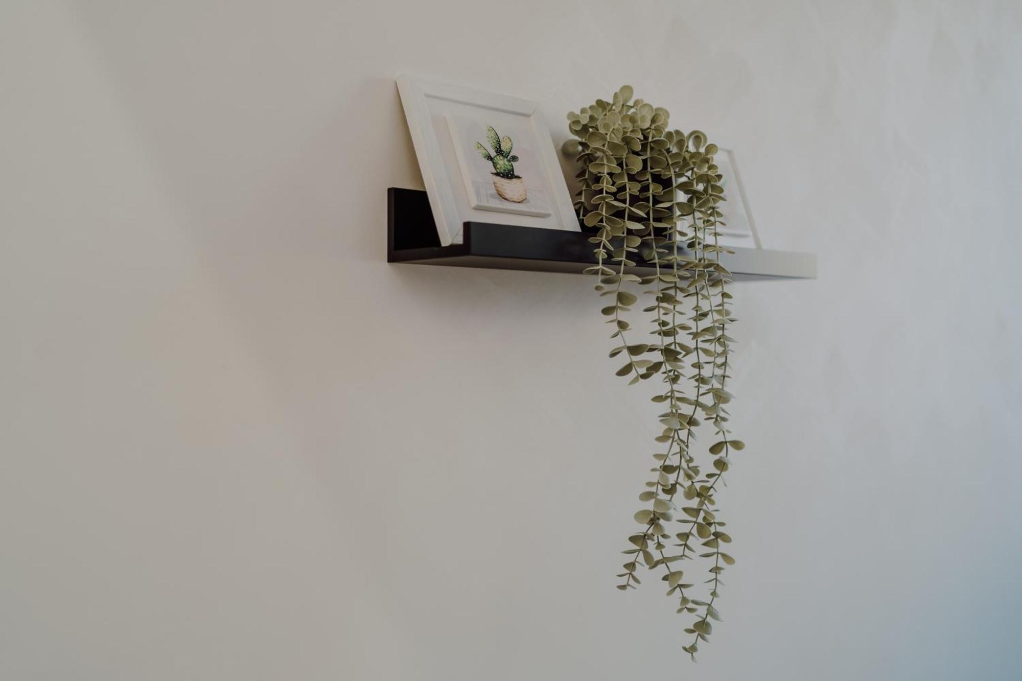 Domus Aeterna - Re Di Roma Hotel Ngoại thất bức ảnh
